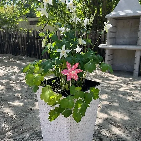 Przytulny Zakatek Holiday home