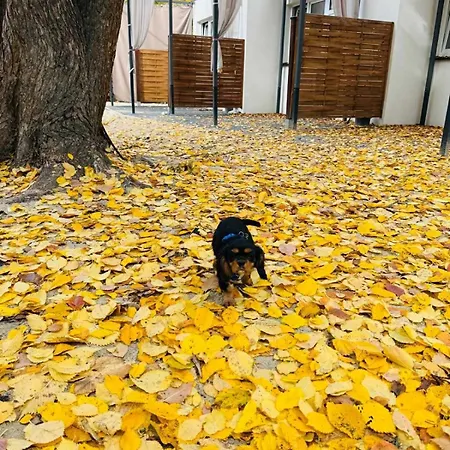 Tatil Evi Przytulny Zakatek