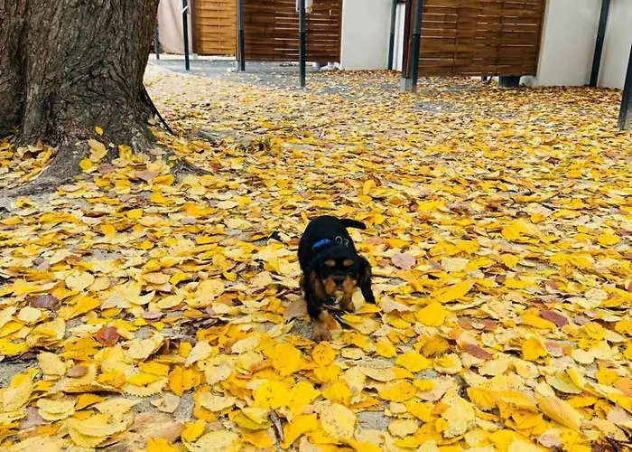 Casa vacanze Przytulny Zakatek